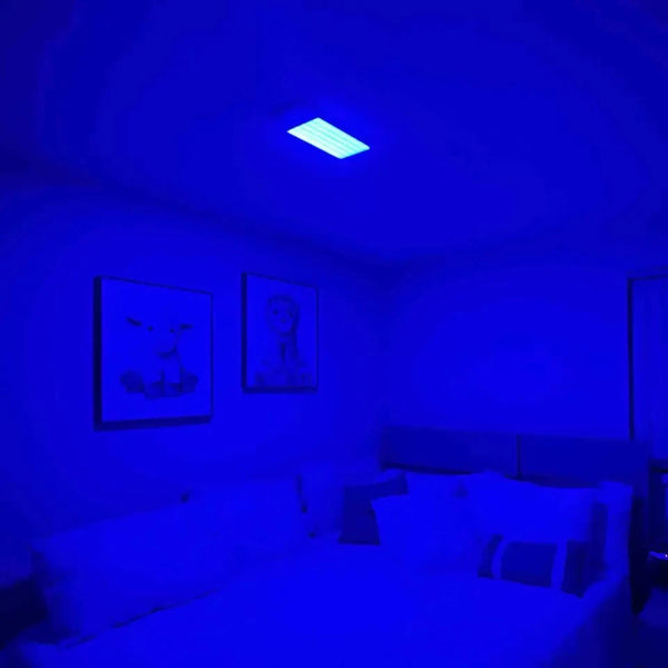 Lámpara de techo LED con sensor y control remoto