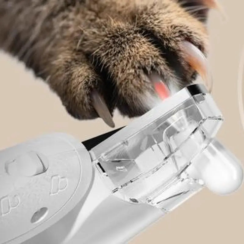 Kit 2 en 1 de Cortauñas y Rasuradora de Pelo para Patas de Mascotas con Luz LED, Recortadora Recargable e Impermeable para Perros y Gatos, Motor Silencioso