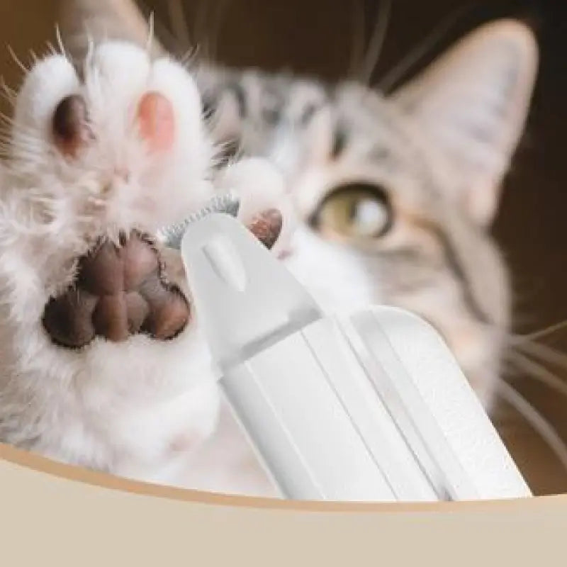 Kit 2 en 1 de Cortauñas y Rasuradora de Pelo para Patas de Mascotas con Luz LED, Recortadora Recargable e Impermeable para Perros y Gatos, Motor Silencioso