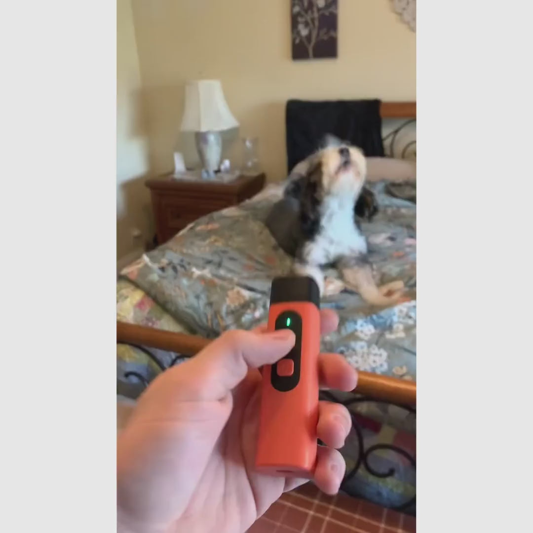 Dispositivo ultrasónico antiladridos recargable con linterna LED y alcance de 9 m para entrenamiento canino y uso diario en casa o paseo