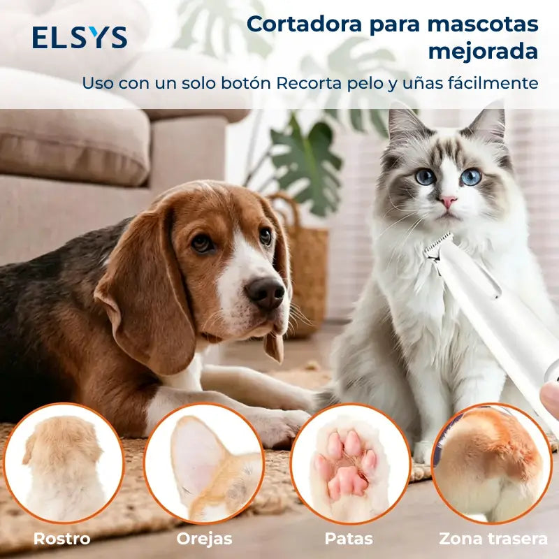 Rasuradora para mascotas recargable con luz LED, cortapelos silencioso e inalámbrico para patas, rostro y orejas de perros pequeños y gatos