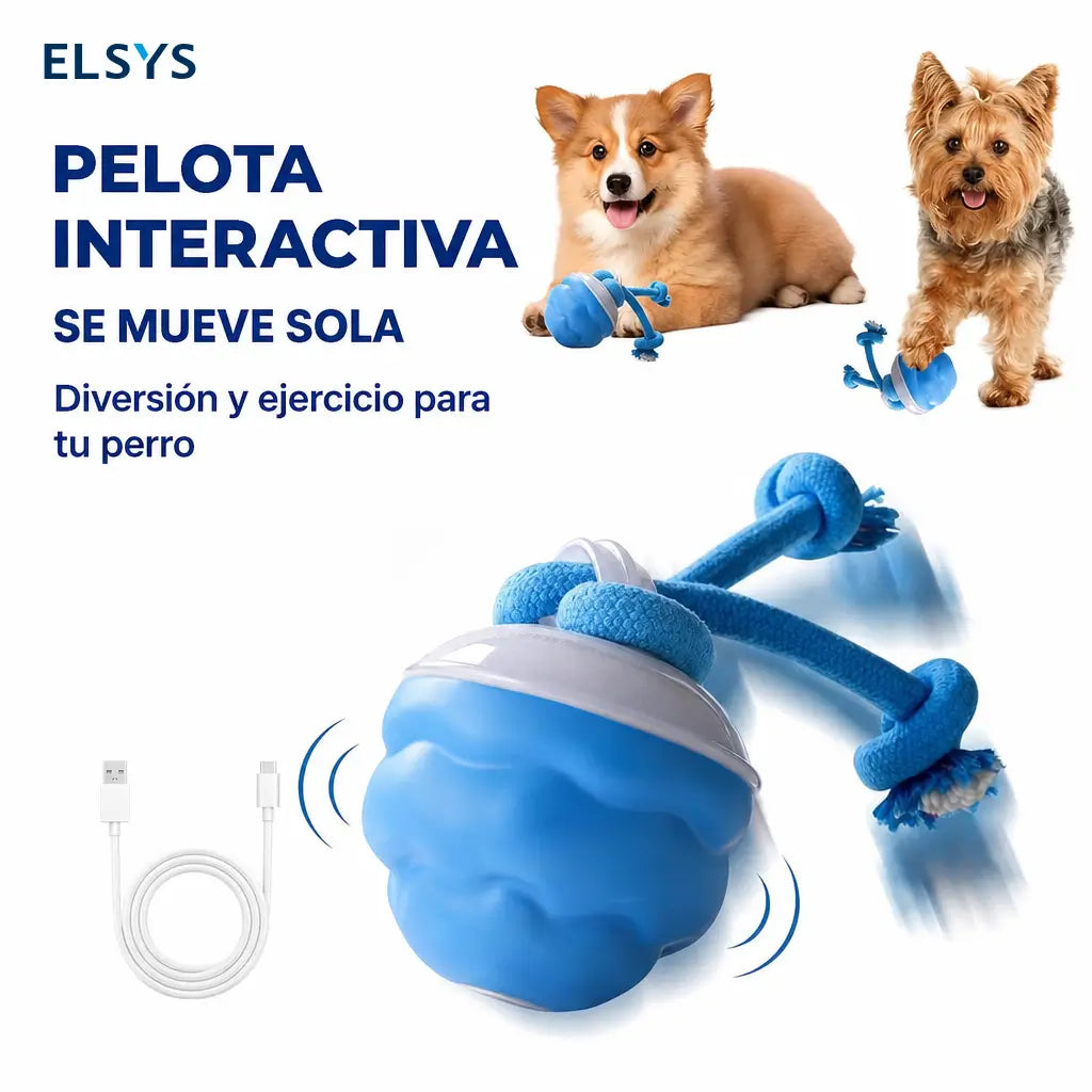 Pelota interactiva recargable para mascotas con movimiento automático y sonido, ideal para juego diario de perros pequeños y gatos en casa