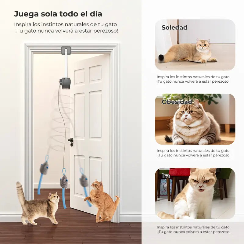 Juguete Eléctrico Interactivo para Gato con Clip para Puerta, Recargable, 2 Modos de Juego (Rotación 360° y Salto Aleatorio), Estimulación Física y Mental, Accesorios para Mascotas
