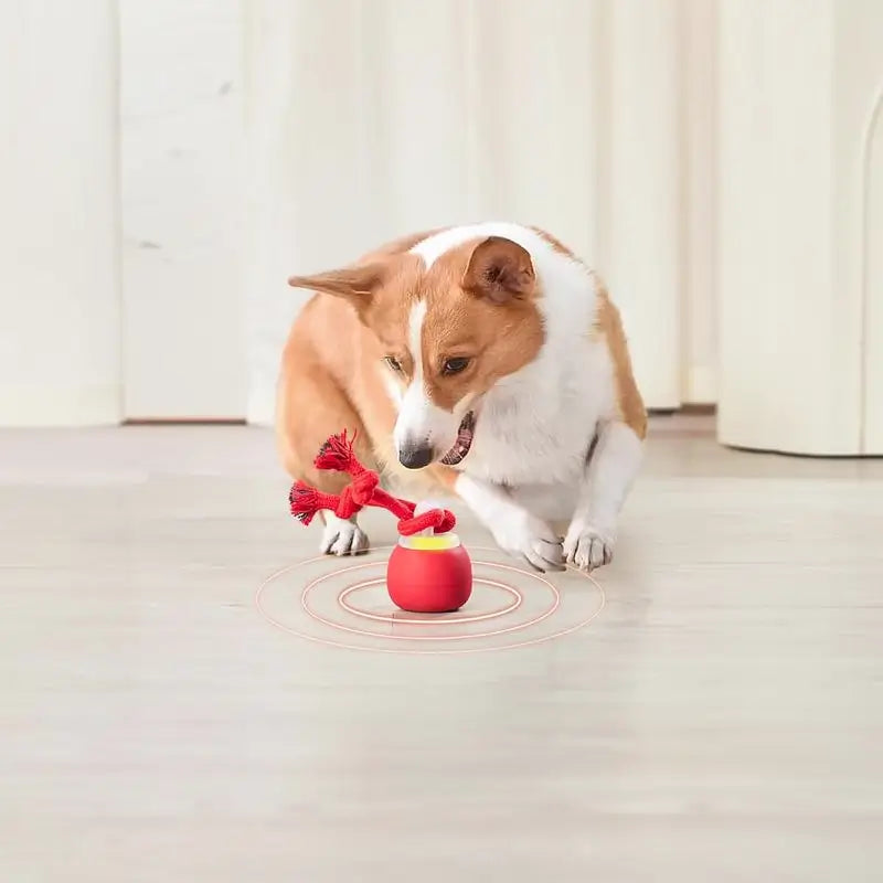 Pelota de Juguete Interactiva para Perro, Activada por Tacto, Recargable, con Sonido y Cuerda para Jugar, para Perros Pequeños y Medianos, Rojo Oscuro, Pelota de Entrenamiento