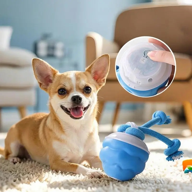 Juguete Interactivo para Perro con Sensor de Movimiento, Pelota Giratoria con Sonido para Entrenamiento de Mascotas, Ideal para Perros Pequeños y Gatos (7.5 x 7.5 x 11 cm)