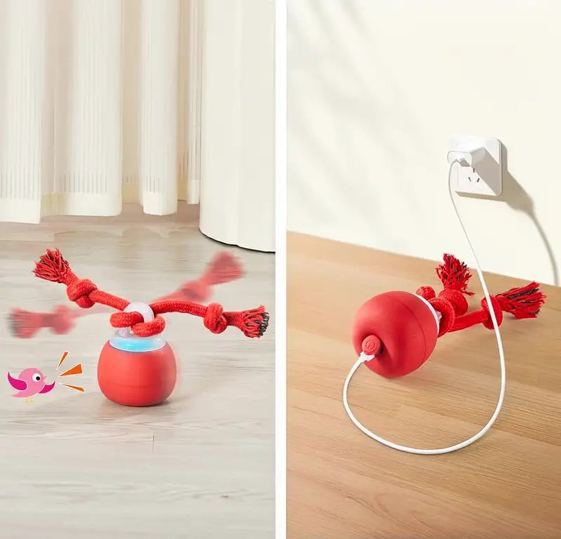 Pelota de Juguete Interactiva para Perro, Activada por Tacto, Recargable, con Sonido y Cuerda para Jugar, para Perros Pequeños y Medianos, Rojo Oscuro, Pelota de Entrenamiento
