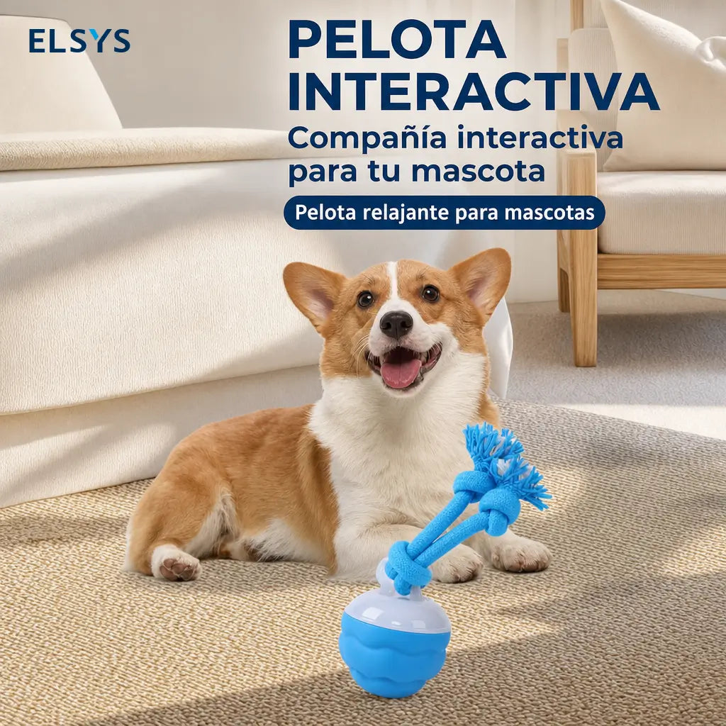 Pelota interactiva para perro y gato con movimiento, sonido y carga USB para juego diario, entrenamiento activo y compañía en casa
