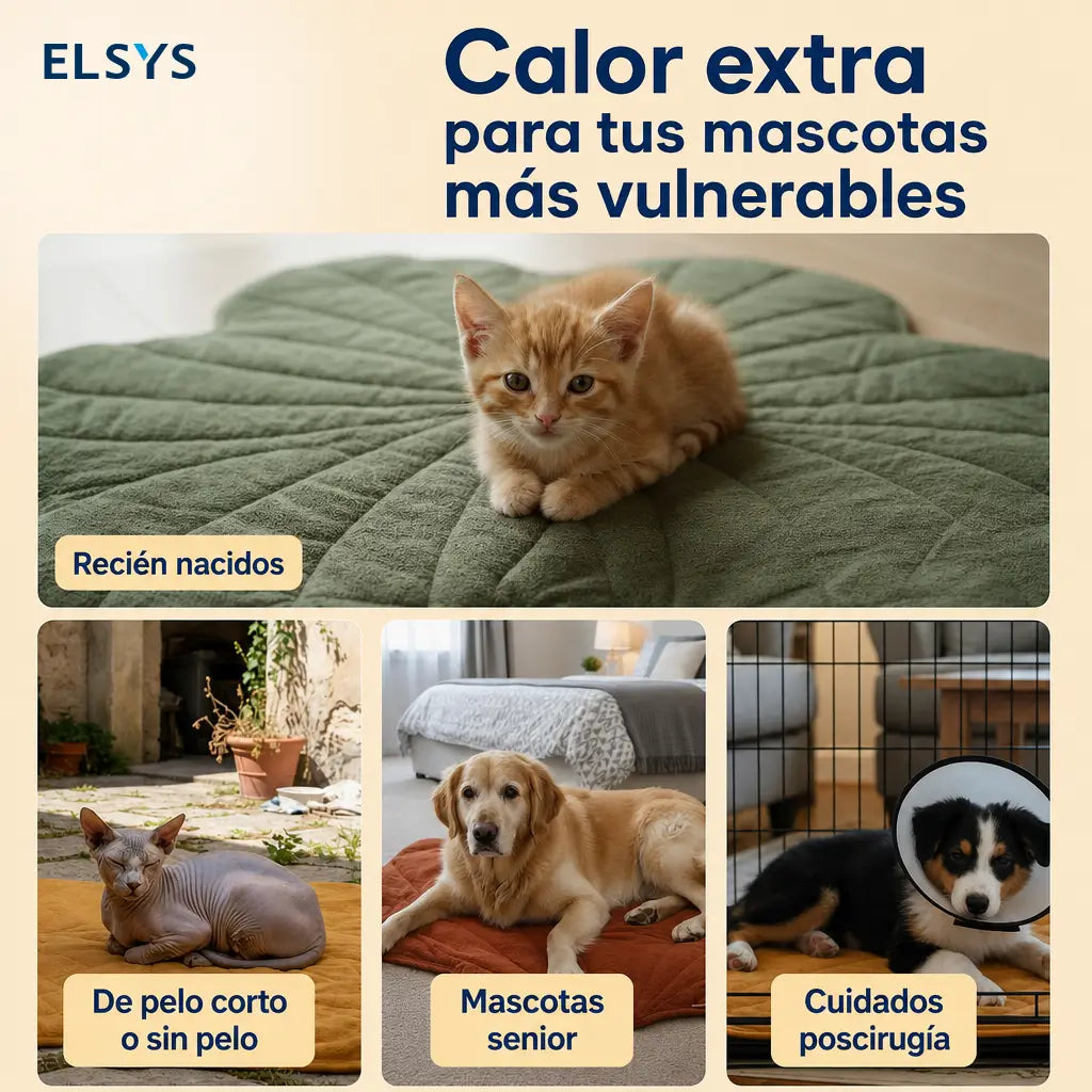 Tapete térmico para perros y gatos con 2 temperaturas, funda lavable y cable antimordidas para cama, jaula o kennel