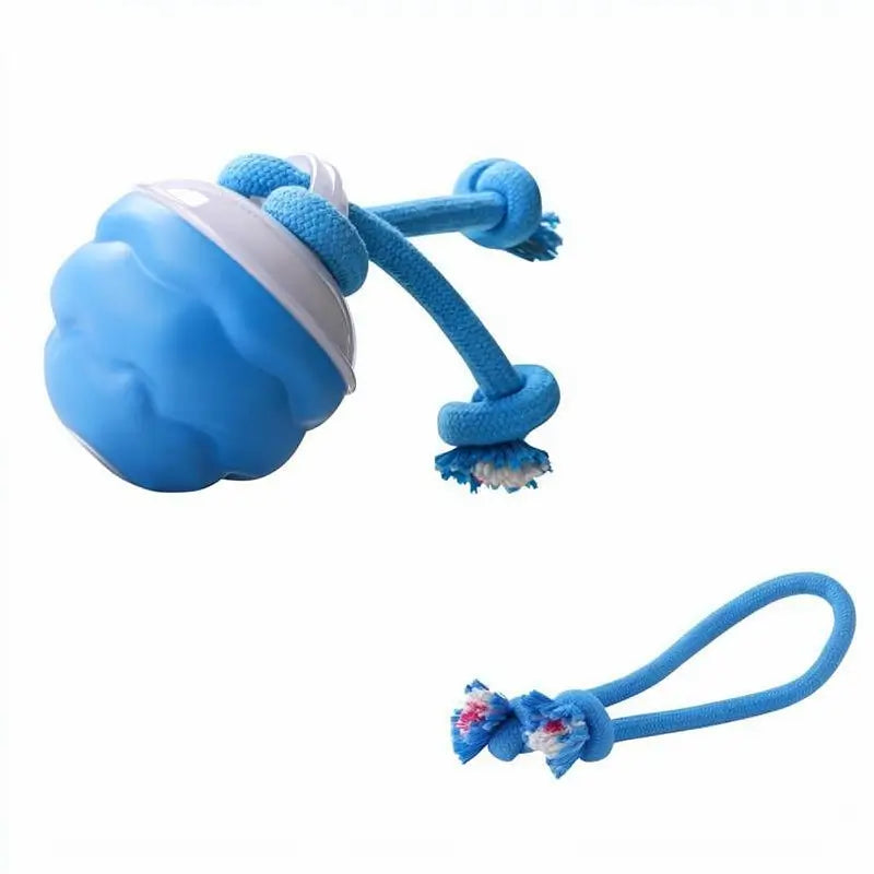 Juguete Interactivo para Perro con Sensor de Movimiento, Pelota Giratoria con Sonido para Entrenamiento de Mascotas, Ideal para Perros Pequeños y Gatos (7.5 x 7.5 x 11 cm)