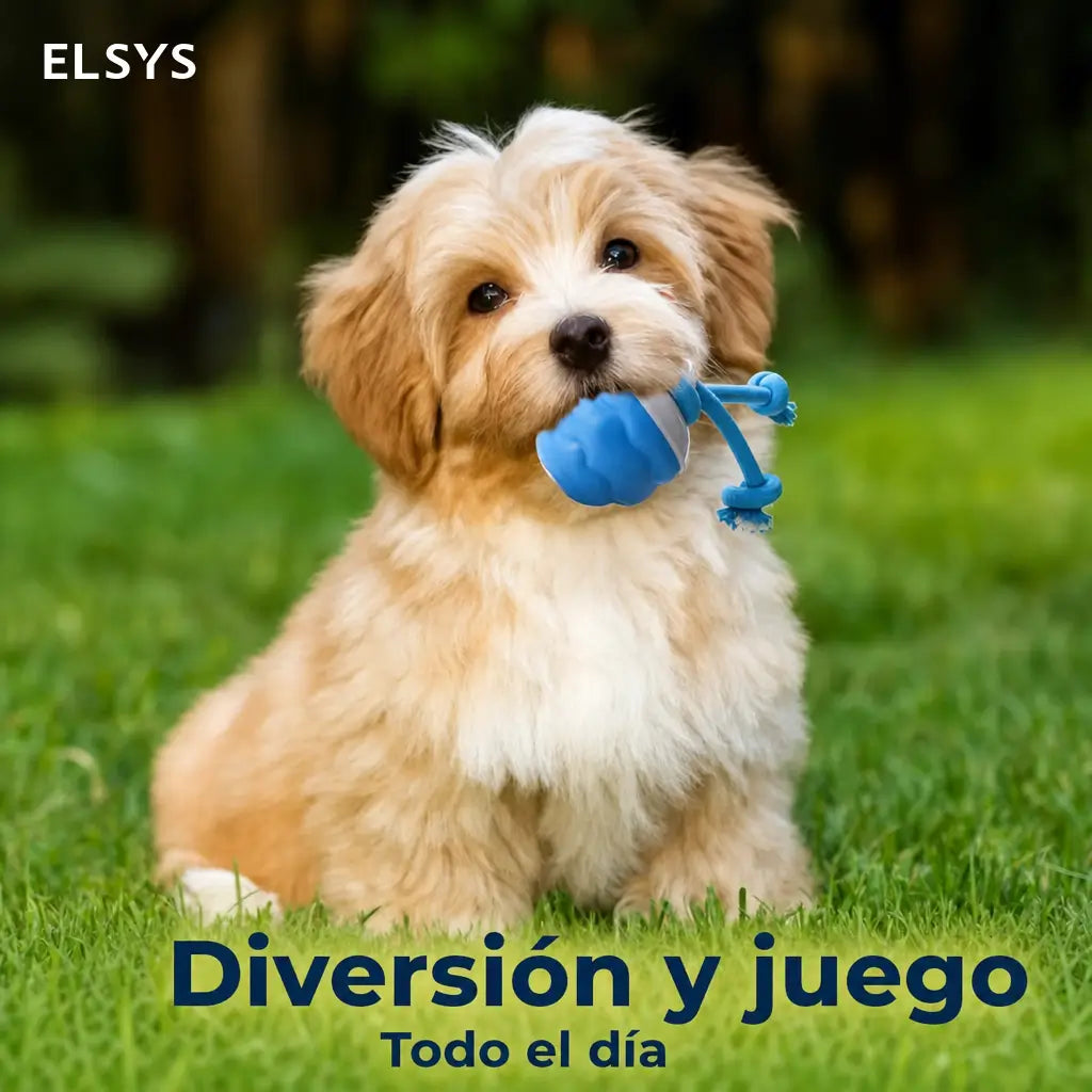 Pelota interactiva para perro y gato con movimiento, sonido y carga USB para juego diario, entrenamiento activo y compañía en casa