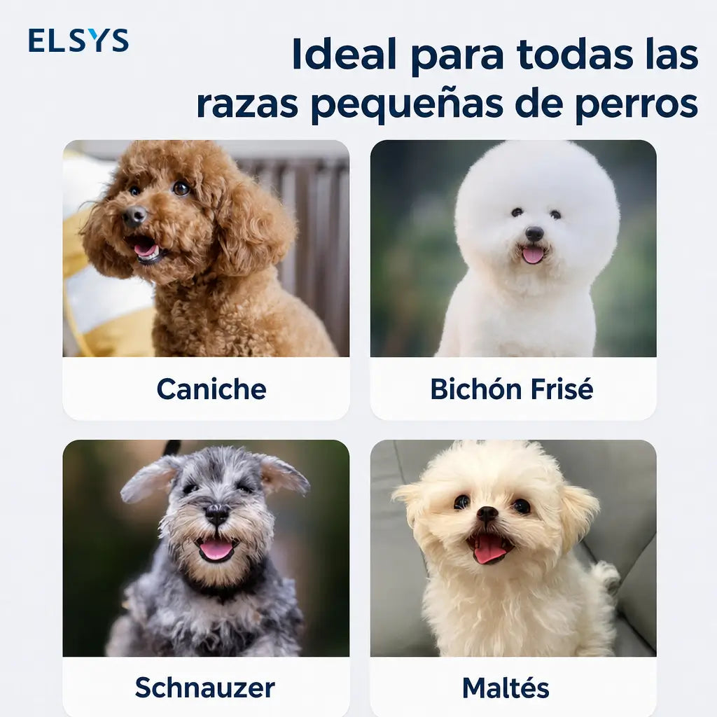 Pelota interactiva vibratoria para perros pequeños y medianos, con luz LED, recargable USB y activación por mordida para juego en casa