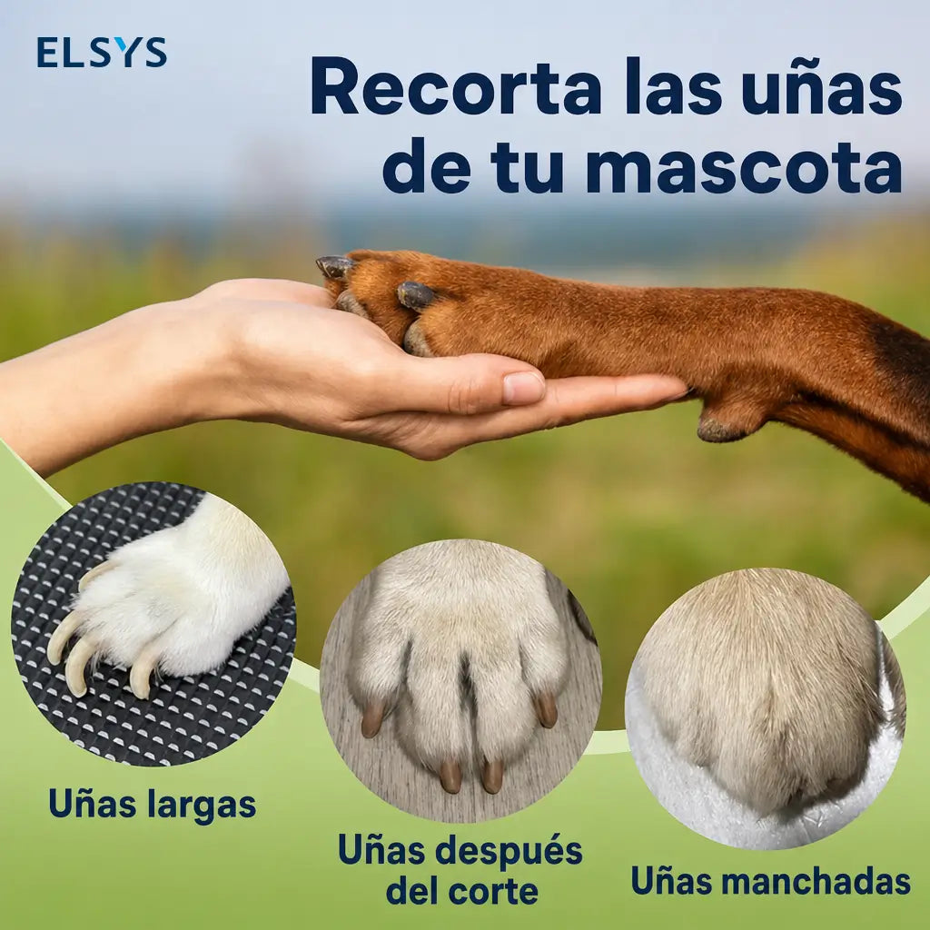 Cortaúñas y lima eléctrica 2 en 1 para perros y gatos, recargable USB-C, silenciosa y segura para todas las tallas en casa